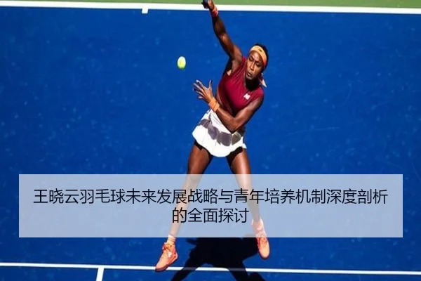王晓云羽毛球未来发展战略与青年培养机制深度剖析的全面探讨